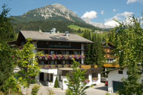 Гостиница Hotel Dachstein  Фильцмос